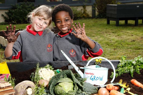 SuperValu And GIY Research Reveals 1/3 Of Irish Families Growing Food At Home