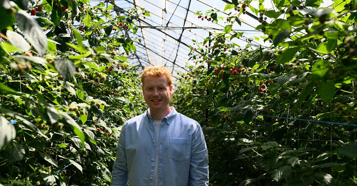 Marks & Spencer Ireland Unveils Latest ‘Farm To Foodhall’ Campaign ...