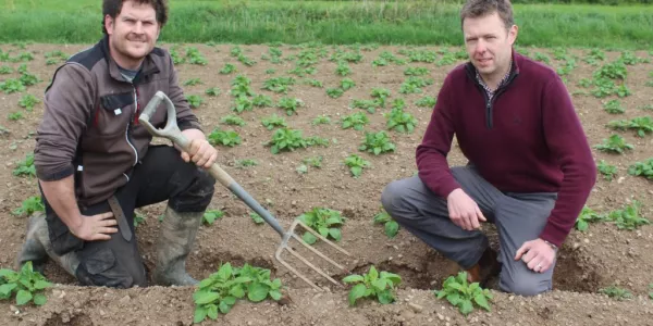 First Potato Earlies Should Be In Shops By Mid-June