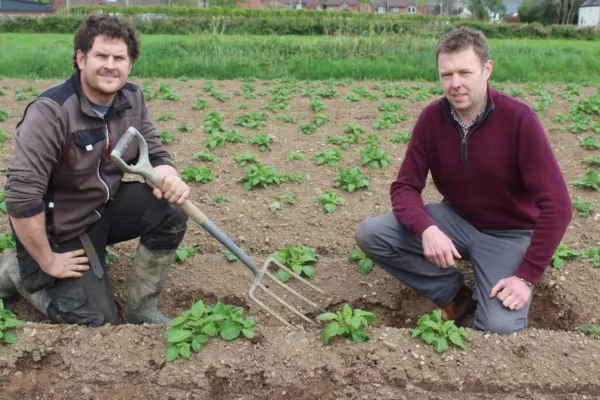 First Potato Earlies Should Be In Shops By Mid-June