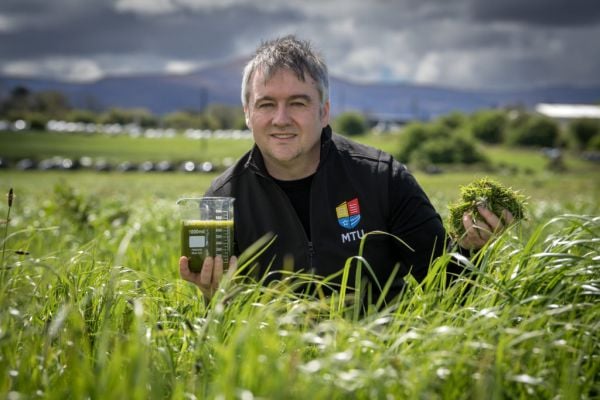 Munster Technological University To Lead €8.7m Grass Biorefinery Demonstration Initiative