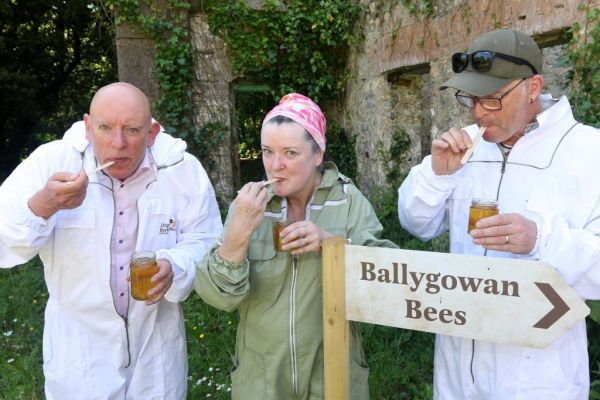 Ballygowan Facility Becomes Area Of Conservation For Bees