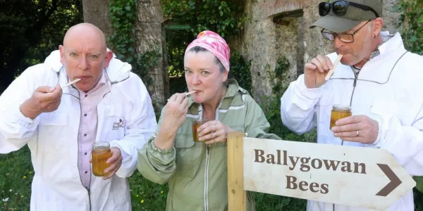 Ballygowan Facility Becomes Area Of Conservation For Bees