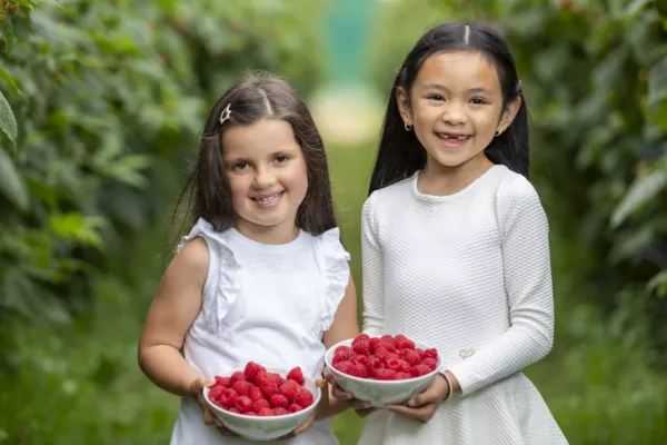 SuperValu Predicts Sale Of 1m Raspberry Punnets Across Summer Months