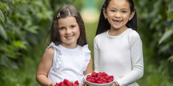 SuperValu Predicts Sale Of 1m Raspberry Punnets Across Summer Months