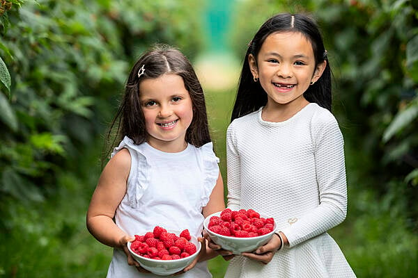 SuperValu Predicts Sale Of 1m Raspberry Punnets Across Summer Months