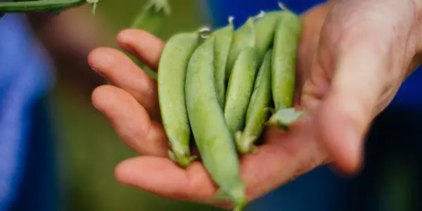 Entries Open For The National Organic Awards