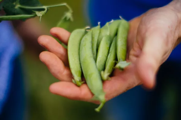 Entries Open For The National Organic Awards