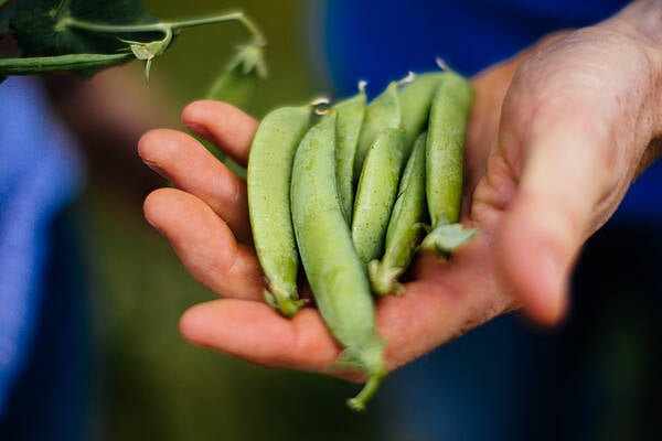 Entries Open For The National Organic Awards