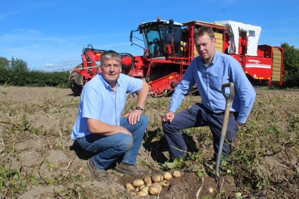 Main Crop Potato Harvest Underway Despite Planting Delays