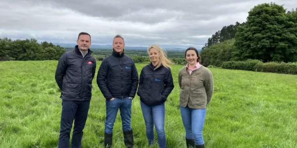 Sysco Ireland And ABP Launch Regenerative Farming Project