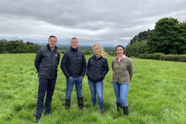 Sysco Ireland And ABP Launch Regenerative Farming Project