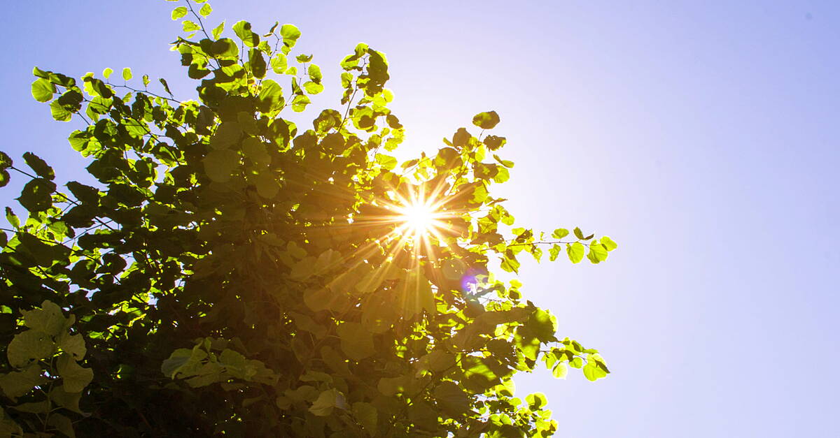 UK Economy Gains From Gulf Ceasefire, World Cup, And Sunshine | Checkout