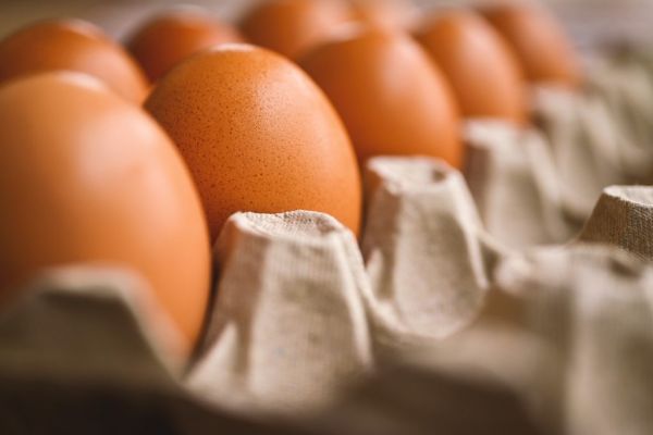 Egg Producer Cal-Maine To Buy Tyson's Chicken Plant In Missouri
