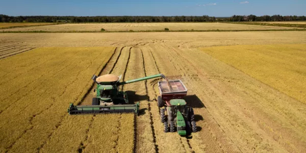 EU Countries To Demand Bloc Does More To Help Farmers, Draft Statement Says