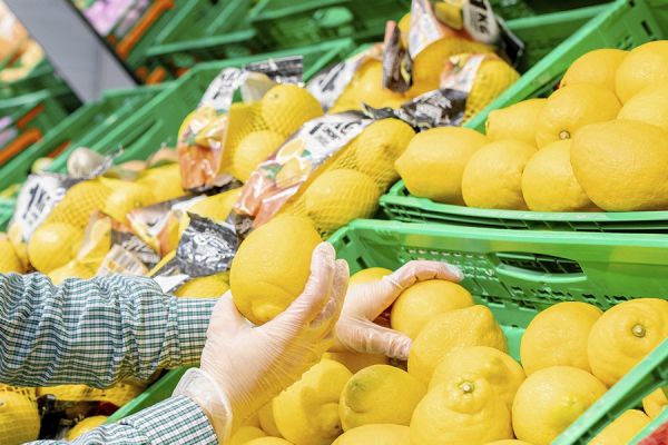 Mercadona To Buy More Spanish Citrus Fruit This Season