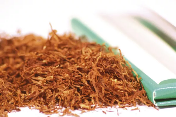 Tobacco Has New Role To Play In Cultivated Meat Production: Israeli Biotech Says