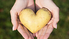 GIY Launches ‘Spudlove’ Campaign