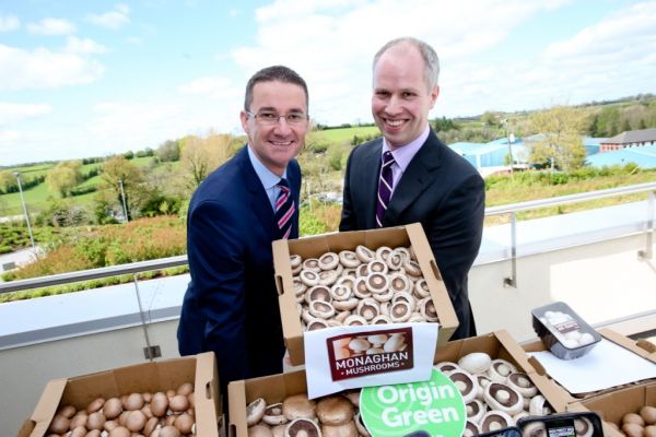 Monaghan Mushrooms Announces Renewable Energy