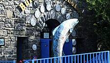 Burren Smokehouse Ltd Recalls Salmon Following Listeria Detection