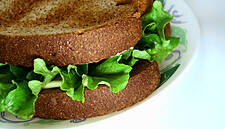 RGDATA Calls For Grants To Help Businesses With Calorie Posting