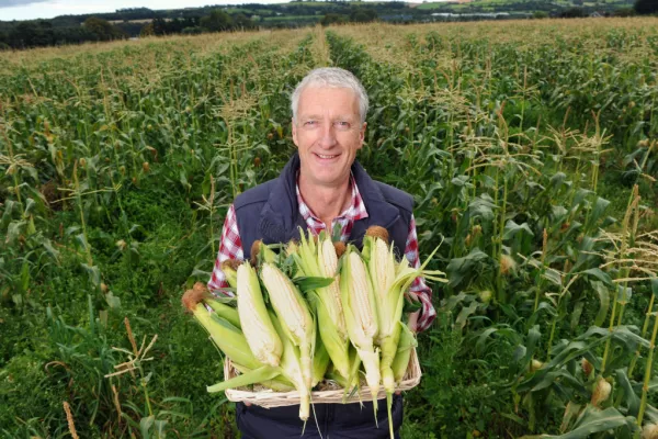 SuperValu Brings Irish Corn On The Cob To Stores Nationwide