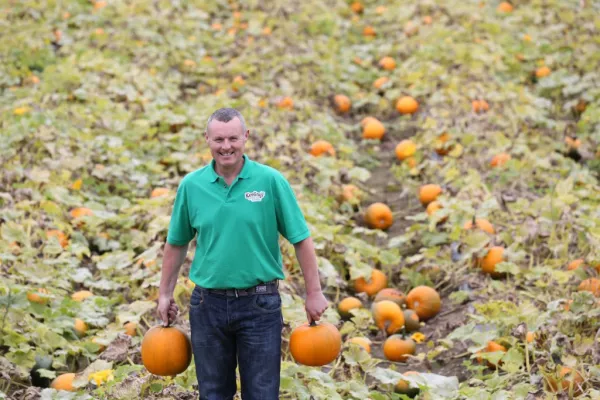 Tesco Welcomes Autumn Harvests At Ploughing Championships