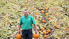 Tesco Welcomes Autumn Harvests At Ploughing Championships