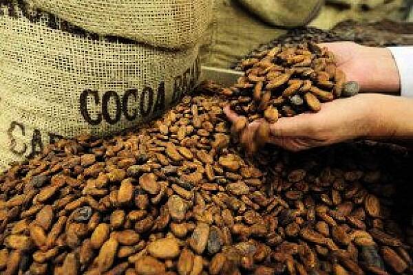 Cocoa Trader Olam Says New EU Law May Force It To Drop Some Suppliers