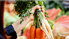 Healthy Eating Is Key International Trend Says Bord Bia PERIscope