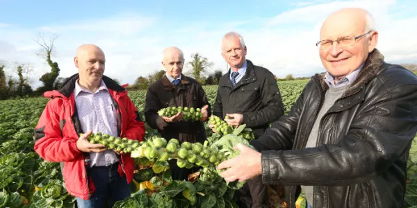 IFA President Warns Retailers Against Discounting Of Fresh Produce