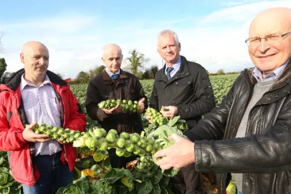 IFA President Warns Retailers Against Discounting Of Fresh Produce