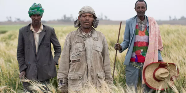 Diageo Announces Partnership With Gorta To Support Ethiopian Barley Farmers