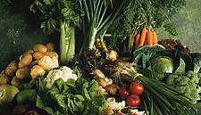 Checkout at 40: European Labelling For Genetic Foods (Dec 1997)