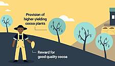 Nestlé Ireland To Source 100% Sustainable Cocoa