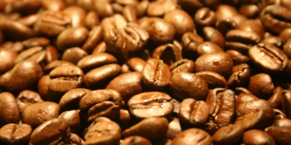 Morning Caffeine Fix Gets Cheaper as Rains Boost Brazil Supplies