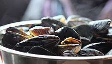 Bord Bia Brings Irish Suppliers To Seafood Expo Global In Brussels