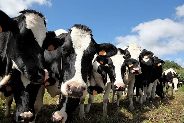 UK Retail Industry Plays Down Threat To Food Supplies From Possible Farmer Strikes