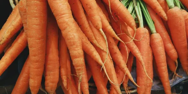 Tesco Celebrates Its Biggest Carrot Grower In Food Love Stories Campaign