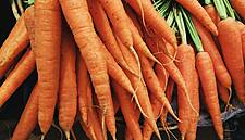 SuperValu Forecasts Carrot Sales To Reach €8m