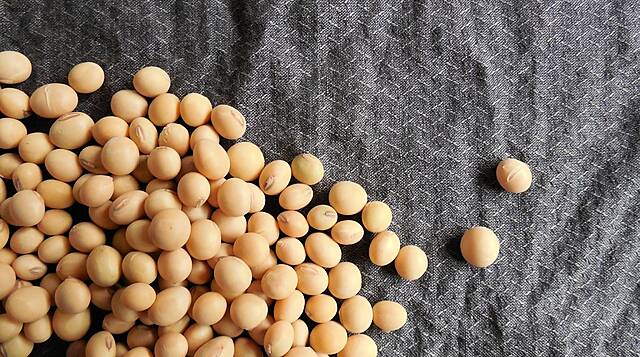 Soybeans Fall On Improved Crop Outlook, Forecast