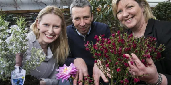 Aldi Grows Range Of 100% Irish Flowers