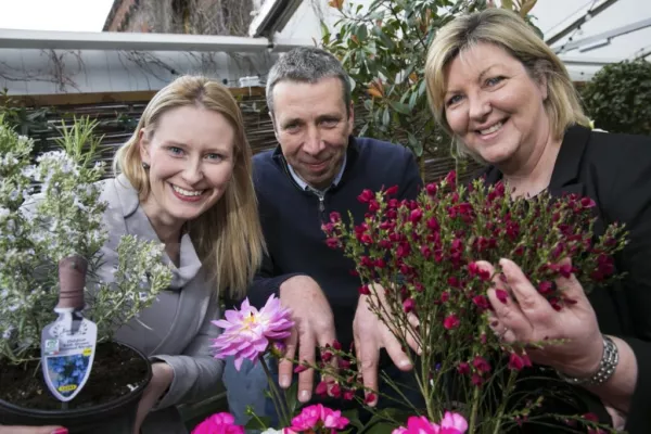 Aldi Grows Range Of 100% Irish Flowers