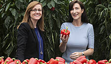 Tesco Awards Keelings With 12 Month Contract