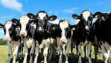 UK Groceries Code Adjudicator Added To IFA Conference Line-up
