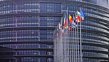 SFA Says Brexit Vote Poses Major Challenges For Small Businesses
