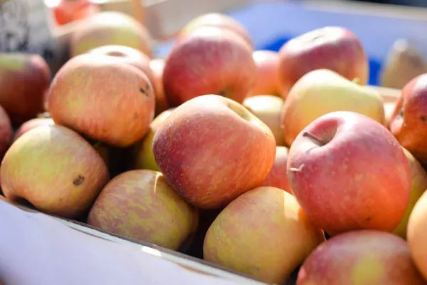 Aldi Extends Contract With Kilkenny Apple Producer Worth €200k