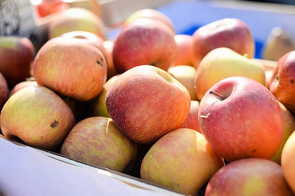 Aldi Extends Contract With Kilkenny Apple Producer Worth €200k