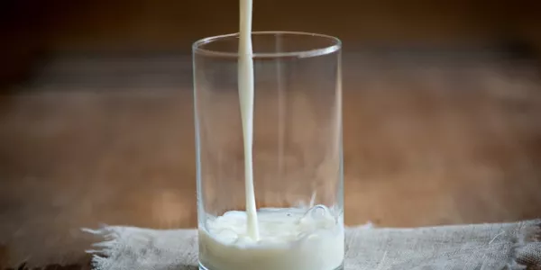 Cream Of The Crop – Ireland’s Top Milk And Milk Alternatives