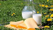 Global Dairy Prices Rise 2.2% After Seven Consecutive Drops